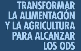 Transformar El Sistema Alimentario Para Lograr Los Objetivos De ...